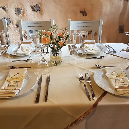 بيت ضيافة فوندا سنترال أذيخي